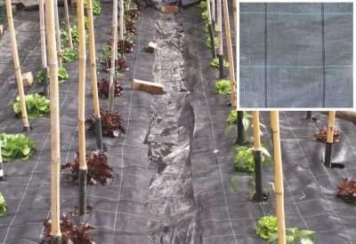 TELO PACCIAMATURA PP H 2,10 M ROTOLO 100 M