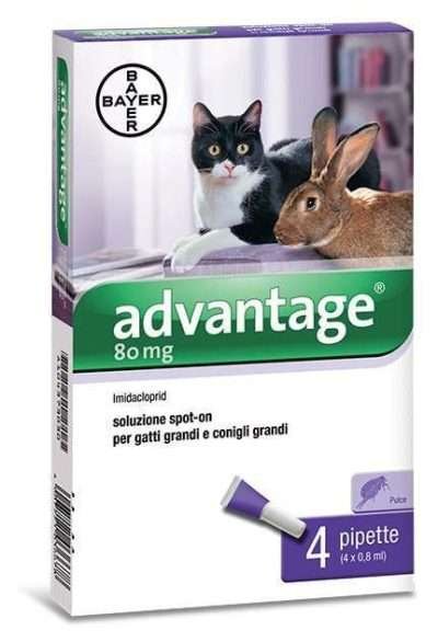BAYER ADVANTAGE SPOT ON 80 GATTI OLTRE 4 KG