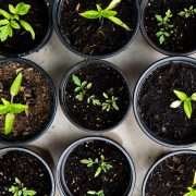 Fioriere vasi e portavasi