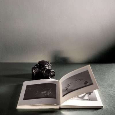 MARMORINO DUEMILAVENTI GIORGIO GRAESAN - immagine 12