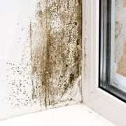 Additivi e risananti antimuffa