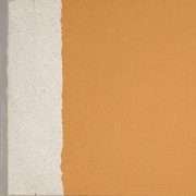 Finiture murali acril-silossaniche