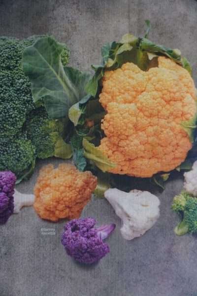 Passatoia ( cat.026 ) Larga 50 cm al metraggio - immagine 2