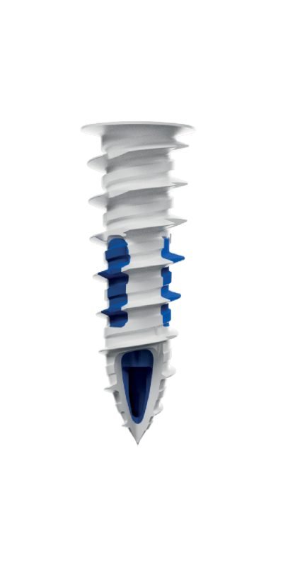 ALLFIX 40 TASSELLI CARTONGESSO 19X54 CON VITE 6 MM