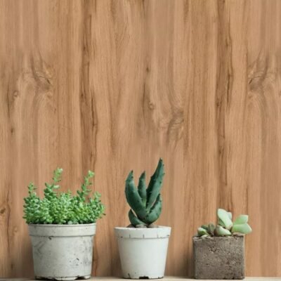 BIG DOGA IN MDF NOCE mis. 20,5 cm x 0,6 x 275 cm - immagine 3