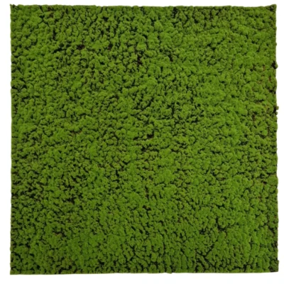 Siepe Verde Artificiale 100 x 100 cm