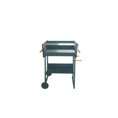 C BARBECUE A CARBONE 52X87X90CM KILAUEA