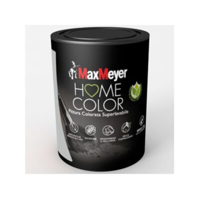 HOME COLOR SUPERLAVABILE LT.0,750 SILVER