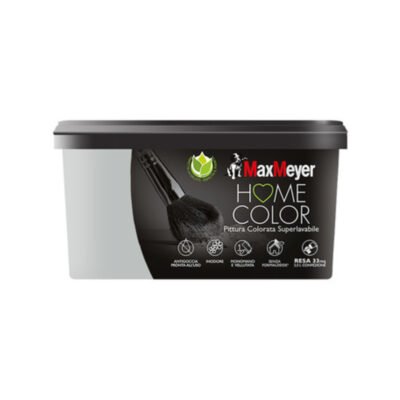 HOME COLOR SUPERLAVABILE LT.2,5 SILVER